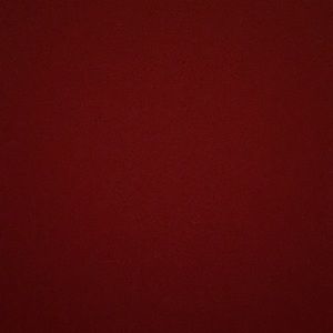 Meet your Posher, Shelby